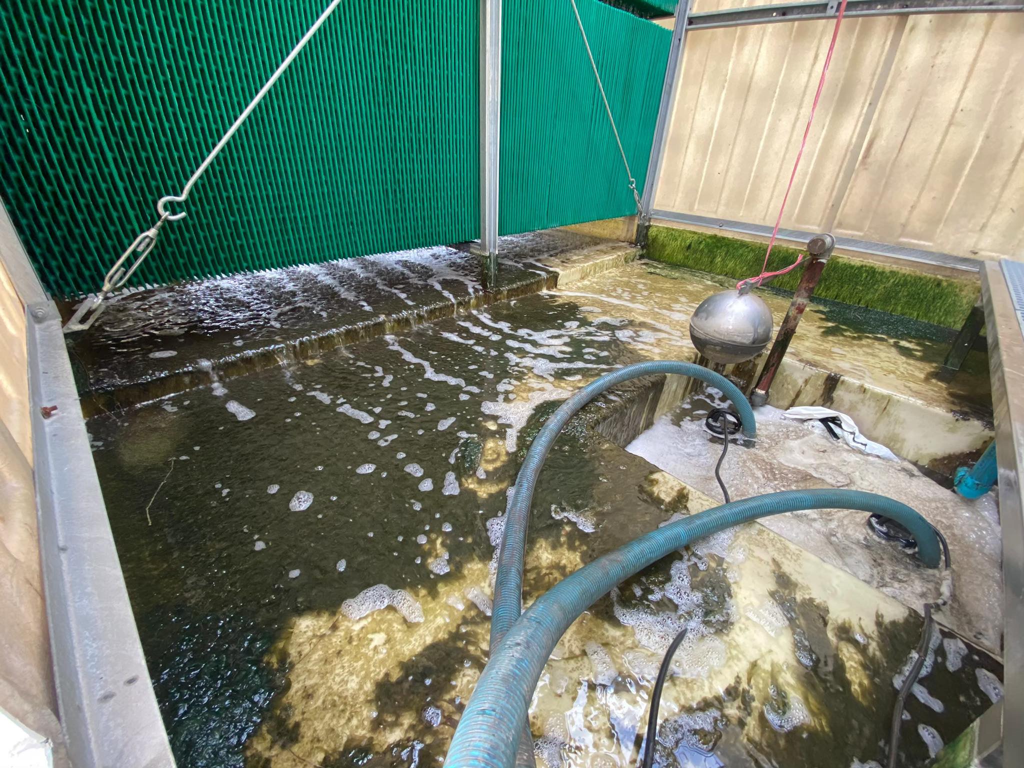 cleancooling